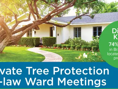 enews_2023-10_treeprotection.jpg