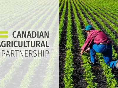 news_2020-aug_Canadian-Immigration-Partnership.jpg